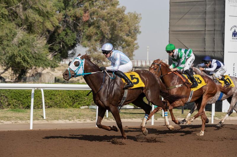 DUBAI, UNITED ARAB EMIRATES. 21 FEBRUARY 2020. Horse racing at Jebel Ali. Jebel Ali Stakes, Race 4. Winner Nr 5 Mark of Approval, ridden by Patrick Cosgrave and trained by Mahmoud Hussain. (Photo: Antonie Robertson/The National) Journalist: Antonie Robertson. Section: Sport.. 
