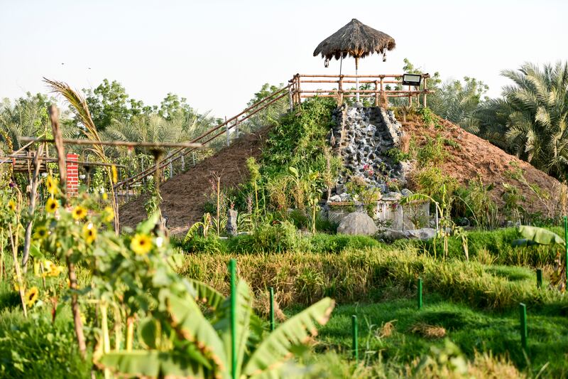 Because many people could not travel back to India because of Covid, Sudheesh created this unique space, where visitors can enjoy the nostalgia and educate their children about South Indian culture and heritage, including farming techniques. 