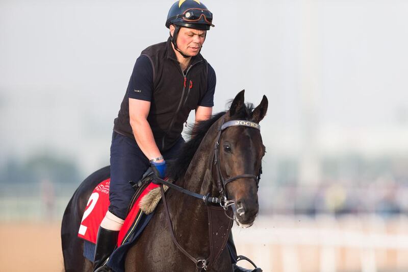 Bathyron works on the track at Meydan Racecourse in Dubai on March 25, 2015. Courtesy Dubai Racing Club