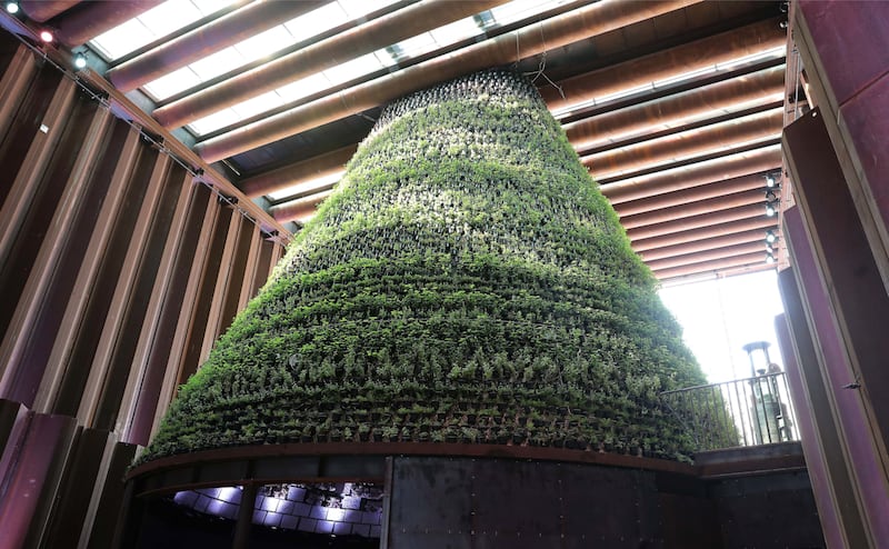 The Netherland's pavilion includes a giant vertical farm, growing edible herbs and mushrooms. Pawan Singh / The National