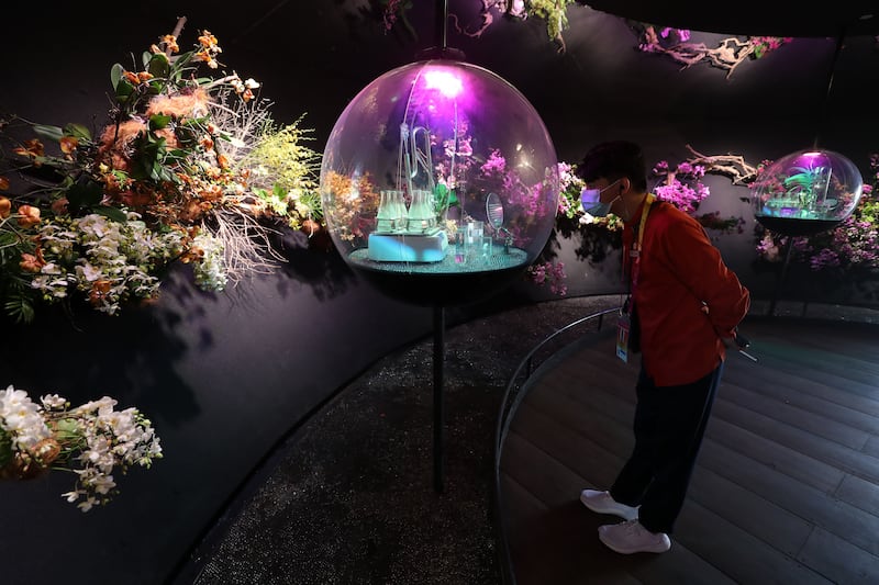 Visitors are offered a glimpse of conservation efforts that have resulted in flowering of endangered plants, such as a species of orchid now found in parks and the mangrove forests.