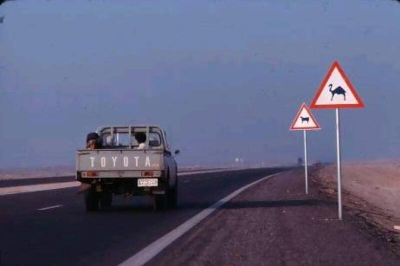 The road, two lanes in each direction, also lacked lighting and fencing, increasing the likelihood of a night-time collision with a roaming ungulate. Courtesy Alain Saint-Hilaire