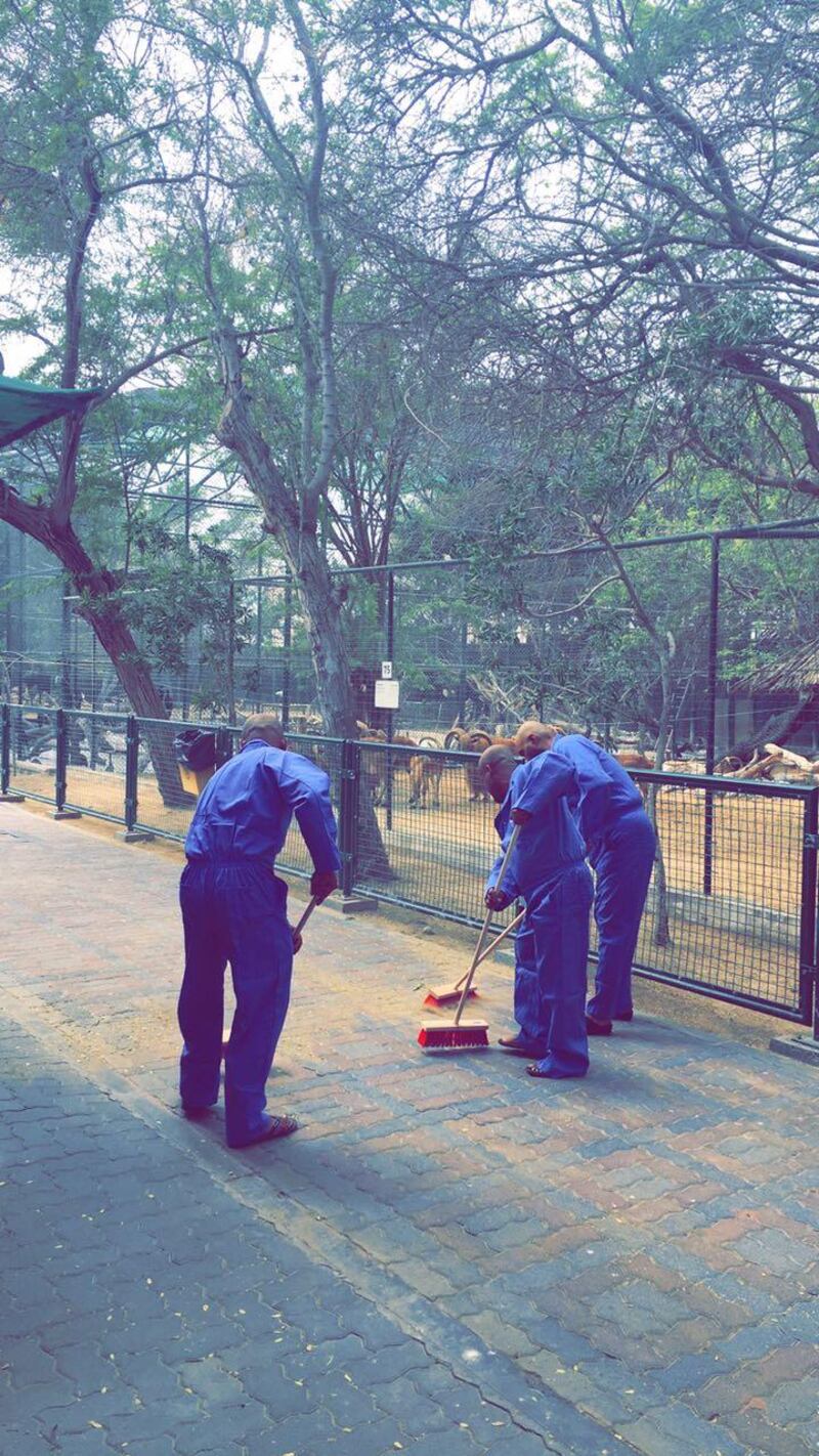 Sheikh Mohammed bin Rashid ordered the three men arrested for feeding a live cat to their dogs to clean Dubai zoo as community service. 15 March 2017. Photo Courtesy: Government of Dubai Media Office *** Local Caption ***  on16mr-ZooClean.jpg