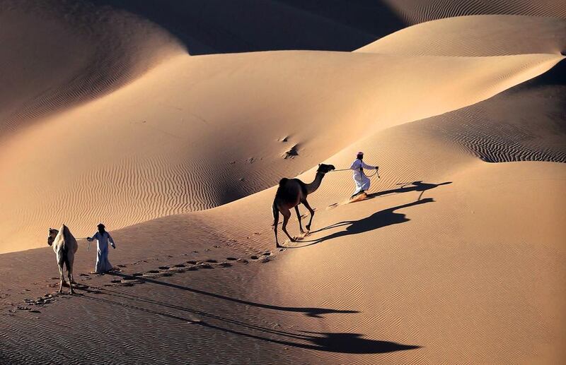 Men walk their camels across the Liwa desert during the Liwa Moreeb Dune Festival. The festival runs until January 6.