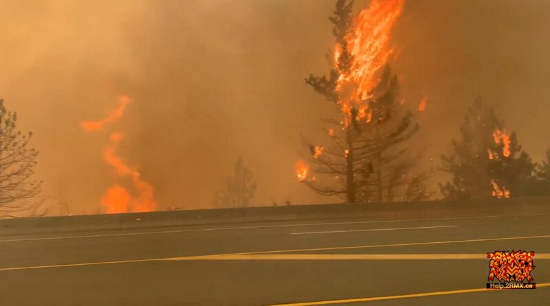 Trees burn along a street during a wildfire in Lytton, British Columbia, June 30, 2021 in this still image obtained from a social media video.