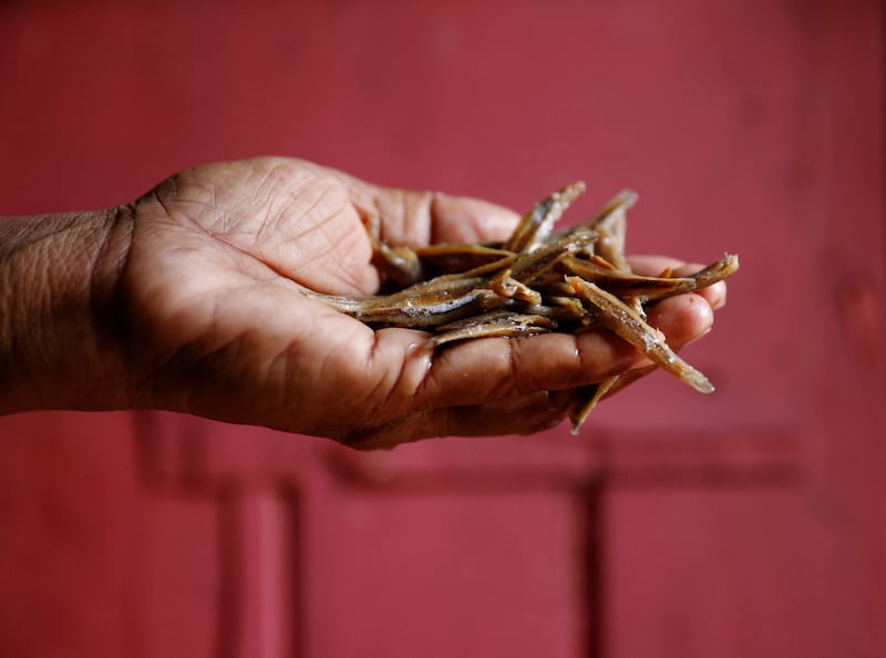 Nilanthi Gunasekera, 49, holds her family’s last remaining handful of dried fish. She is one of the millions of Sri Lankans battling a sharp decline in living standards. All photos: Reuters