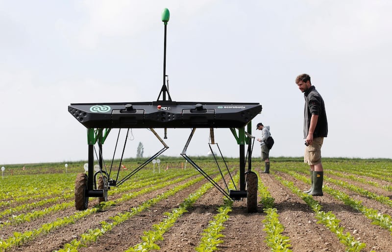 REFILE - ADDING PICTURE TAKEN  The prototype of an autonomous weeding machine by Swiss start-up ecoRobotix is pictured during tests on a sugar beet field near Bavois, Switzerland May 18, 2018. Picture taken May 18, 2018. REUTERS/Denis Balibouse