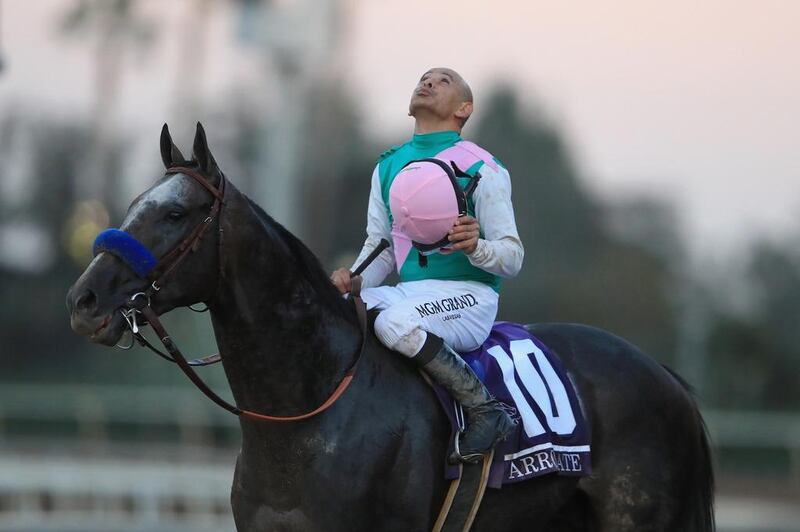 The Dubai World Cup will be the first time Arrogate will race outside the United States. Sean M Haffey / Getty Images