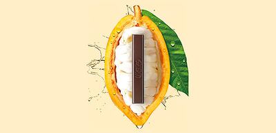 Nestle's Cacao Fruit Chocolate