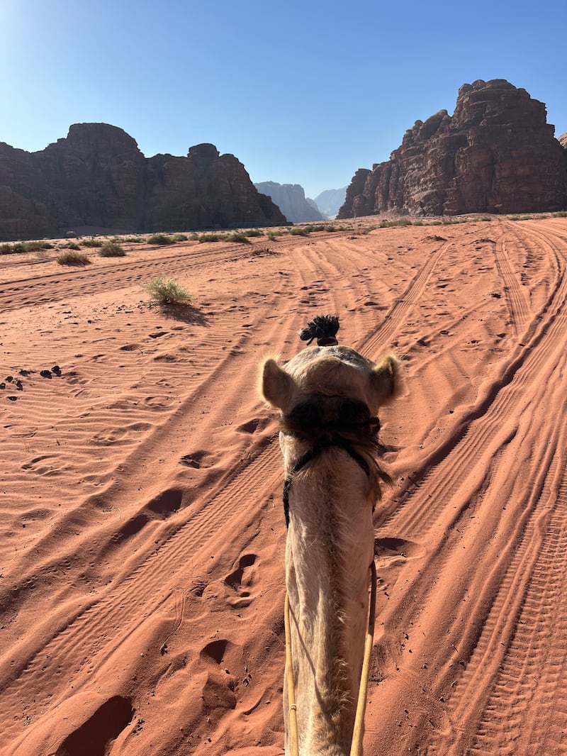The group trekked through varying expanses within the desert, traversing through red, white and yellow sands, while encountering different shapes of mountains. Photo: ADCRC