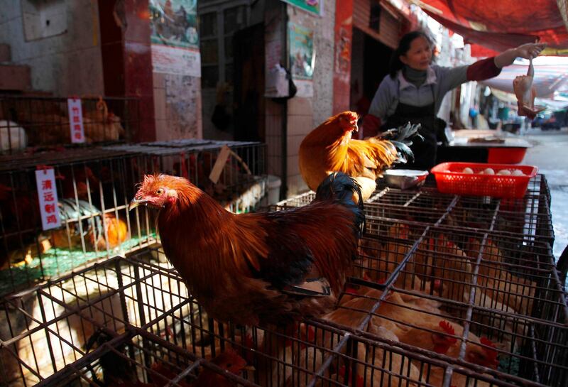 FILE PHOTO: A vendor holds a slaughtered chicken, as chickens are seen on sale, at a market in Guangzhou, Guangdong province, China December 23, 2013. REUTERS/Alex Lee/File Photo