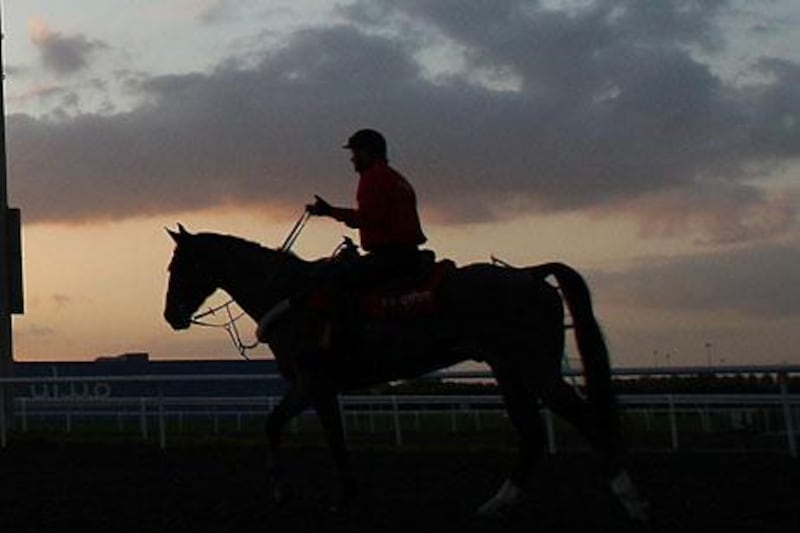 A Meydan outrider makes his way on to the main track. Such early morning rituals will continue to get busier as more and more horses arrive for the Dubai World Cup Carnival.