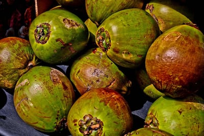 Coconuts. Getty Images