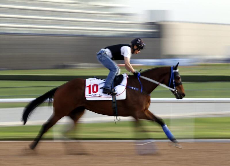 A picture taken with a slow shutter speed shows a jockey riding Gun Pit, a racehorse from Australia trained by Caspar Fownes, on the track at the Meydan racecourse during preparations for the Dubai World Cup 2016 in Dubai, United Arab Emirates, 23 March 2016. The 21st edition of the Dubai World Cup will take place on 26 March 2016.  EPA/ALI HAIDER