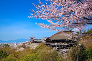 Cherry blossoms at Kiyomizu-dera temple in Japan's Hyogo Prefecture, in the Kinki region. Getty Images