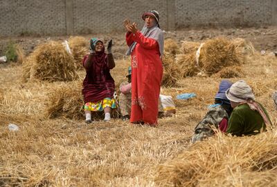 Farmers ululate as they celebrate the harvest season on a farm in the Nile Delta. AP