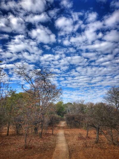 The Royal Livingstone sits within the Mosi-oa-Tunya National Park. Courtesy Melinda Healy