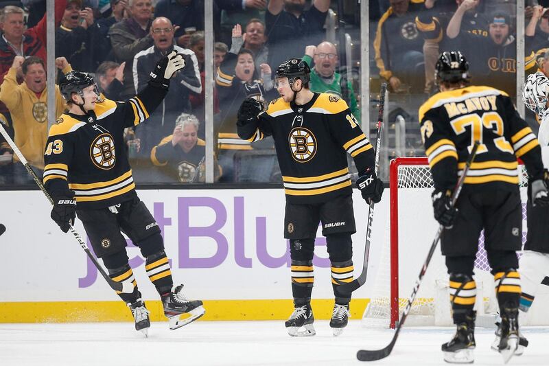 Catch a Boston Bruins hockey game at the TD Garden.