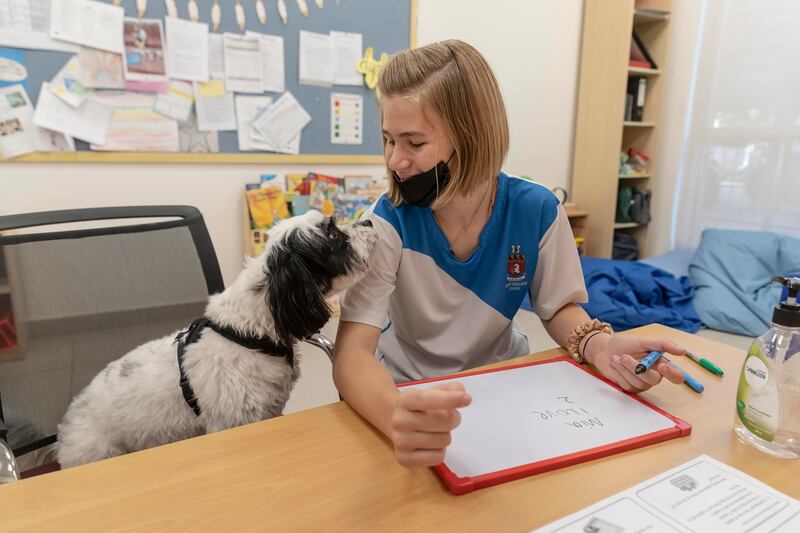 Mia Holmes, 11, from Kent College, is joined by Ziggy the wellbeing dog during one of her sessions. All photos: Antonie Robertson / The National
