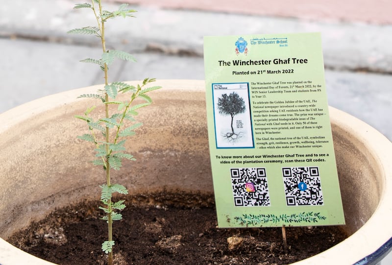 The ghaf is the national tree of the UAE.  