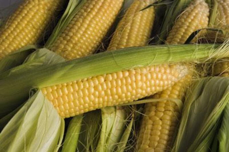 Obsessing over food with negative associations, such as corn, diminishes the pleasure we get from eating.