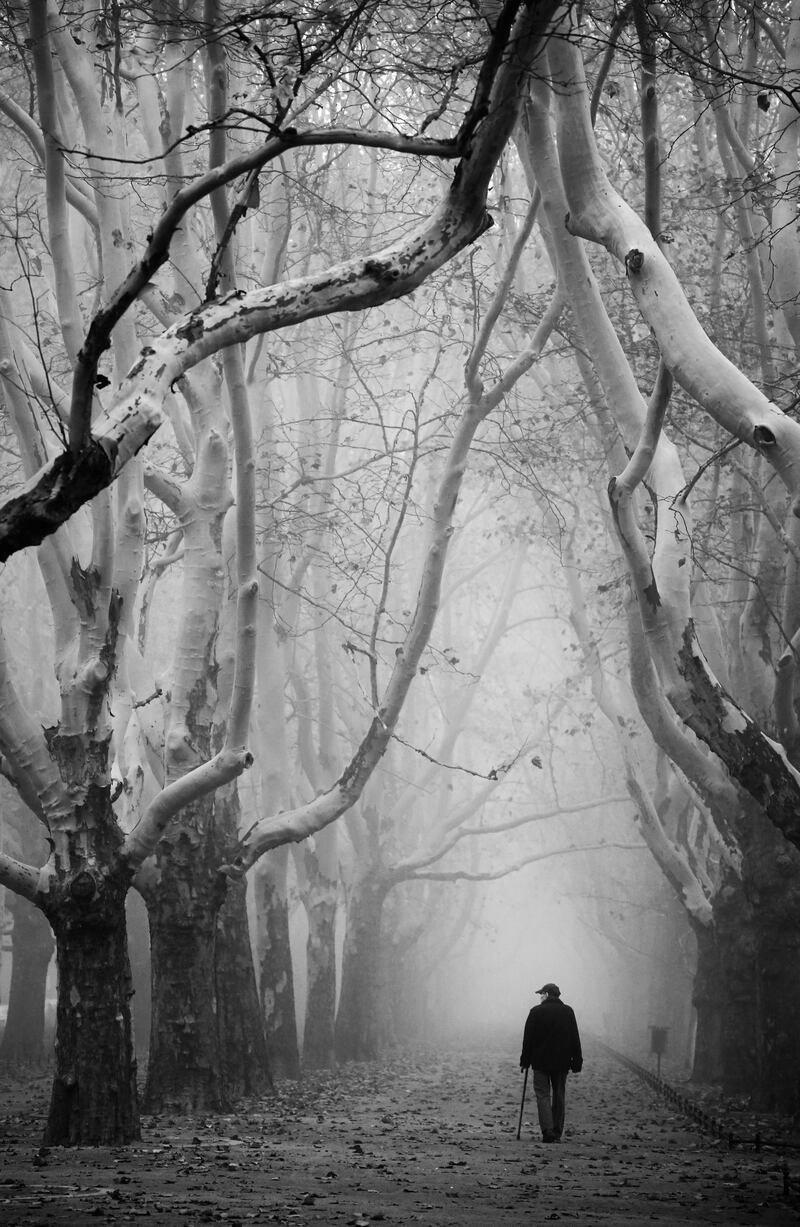 Second prize for the general category (black and white) is the eerie 'The Silent Witness' by Anna Niemeic, showing 200-year-old trees in the centre of Szczecin in Poland. Anna Niemeic