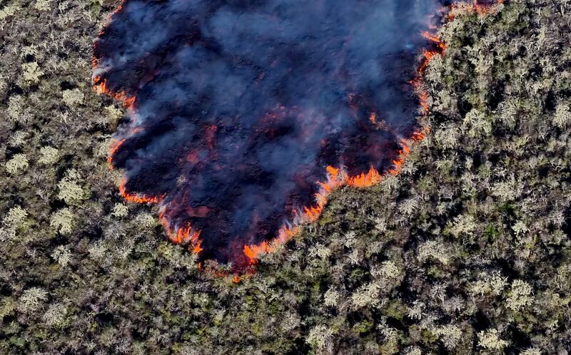 An aerial view of lava expelled by the Wolf Volcano. AFP
