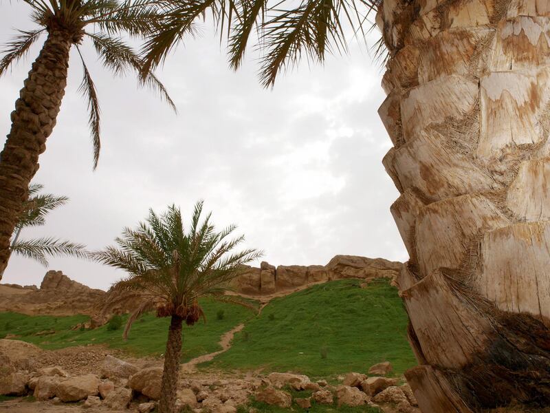 United Arab Emirates - Al Ain - August 3rd - 2008: Palm trees and green areas contrast with the rocky environment surrounding Green Mubazzarah park in the outskirts of Al Ain. (Manuel Salazar/The National) *** Local Caption ***  MS-Alainpark2.jpgna04au-alain.jpg