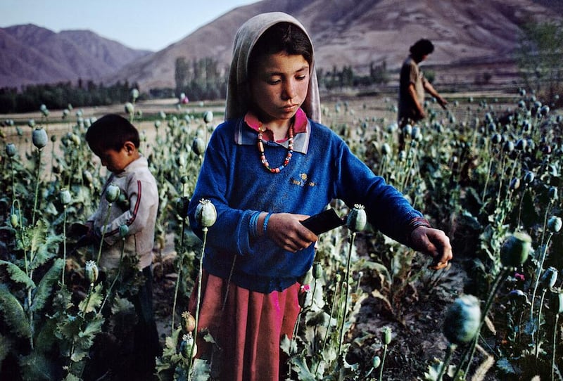 Children work in opium field in Badakhshan, 1992. Copyright ©Steve McCurry / Magnum Photos 