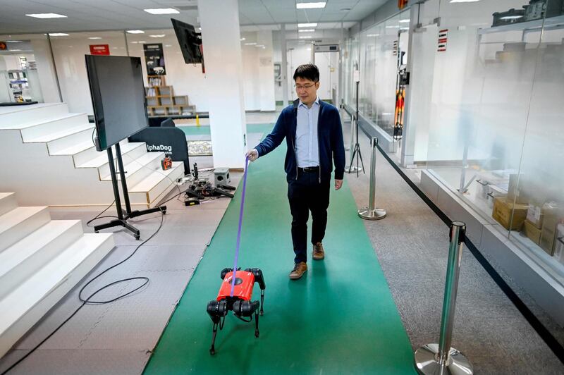 Ma Jie, chief technology officer for Weilan Intelligent Technology Corporation, walking an AlphaDog quadruped robot at the company workshop in Nanjing. Wang Zhao / AFP