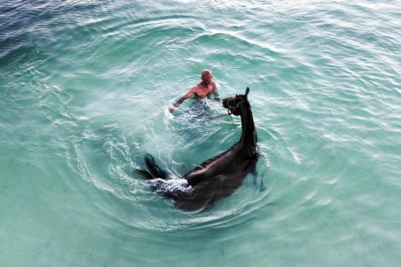 Denis Hooker trains his race horse Pereque in the sea off San Andres Island in Colombia.  The 69-year-old uses traditional training methods and is a renowned trainer on the island where his horses have won numerous races. AP Photo