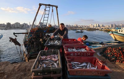 Palestinian fishermen unload their catch at Gaza City's main fishing port, on May 24, 2021, after Israeli security forces allowed a limited number of vessels to return to sea following a ceasefire in the recent conflict.  / AFP / Emmanuel DUNAND
