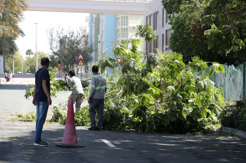 Workers cut a tree uprooted by heavy rains on Tuesday in Dubai. Pawan Singh / The National