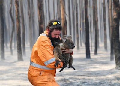 Adelaide wildlife rescuer Simon Adamczyk is seen with a koala rescued at a burning forest near Cape Borda on Kangaroo Island, southwest of Adelaide, Australia, January 7, 2020.   AAP Image/David Mariuz/via REUTERS    ATTENTION EDITORS - THIS IMAGE WAS PROVIDED BY A THIRD PARTY. NO RESALES. NO ARCHIVE. AUSTRALIA OUT. NEW ZEALAND OUT.