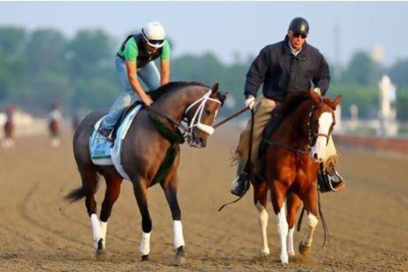 Trainer D Wayne Lucas leads Preakness Stakes winner Oxbow, left, on the track for workouts at Belmont Park. Though a tropical storm is on its way to the area jockey Gary Stevens says that should not bother the horse, who won the Preakness on a soft, deep and slow track.