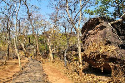 Bhimbetka is located within the Ratapani Wildlife Sanctuary. Courtesy Kalpana Sunder