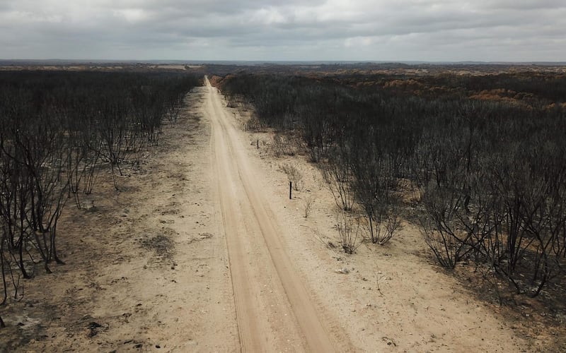 An aerial photo taken on January 16, 2020 shows a fire damaged landscape on Kangaroo after bushfires ravaged the island off of the south coast of Australia.  Australia is reeling from bushfires that since September 2019 having claimed 28 lives, including two on Kangaroo Island, and razed 10 million hectares (100,000 square kilometres) of land -- an area larger than South Korea or Portugal. - TO GO WITH Australia-livestock-fire-environment,FOCUS by Holly ROBERTSON
 / AFP / PETER PARKS / TO GO WITH Australia-livestock-fire-environment,FOCUS by Holly ROBERTSON

