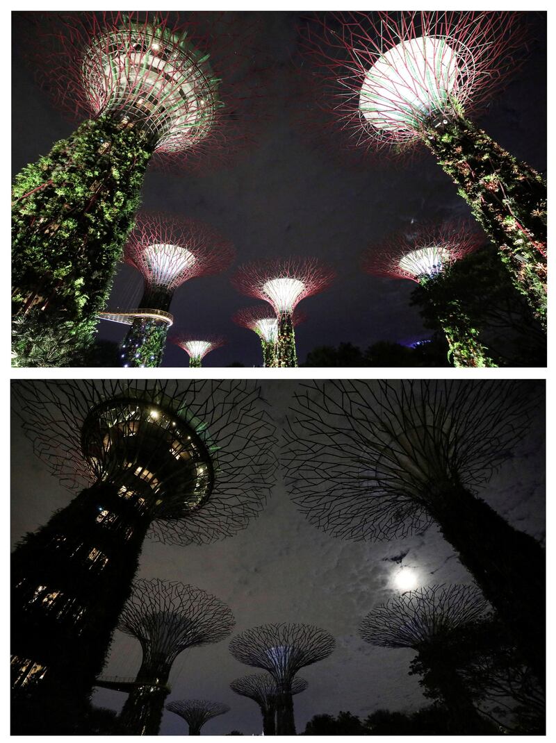 Artificial structures called Supertrees at Gardens By the Bay in Singapore. Reuters