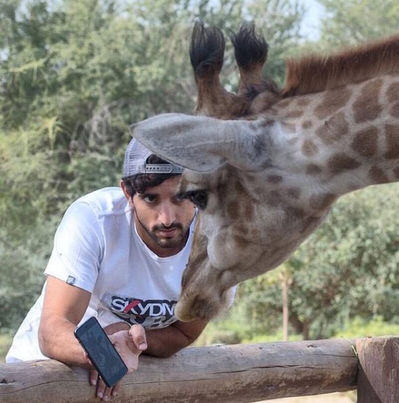And dutifully giving a giraffe selfie approval on a separate occasion. Instagram / Faz3