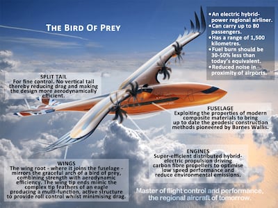 An infographic explaining the Airbus Bird of Prey. Twitter / Airbus 