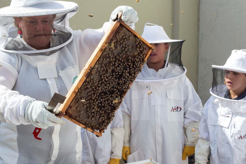 DUBAI, UNITED ARAB EMIRATES -  Students being brief on their part of being a bee keeper at American School of Dubai has partnered with the Beekeepers Foundation UAE to create a community on campus and raise awareness of the importance and protection of honeybees in the UAE at American School Dubai.  Ruel Pableo for The National