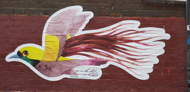 A "paste up" of a Bird of Paradise, inspired by the Wings of Paradise campaign about the deforestation of Papua to create palm oil plantations. Photo by Rosemary Behan