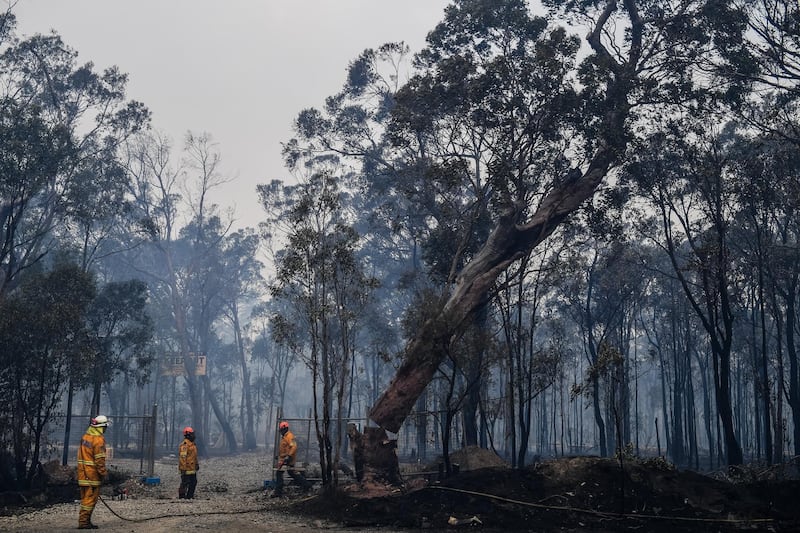 Firefighters work to control a bush fire in Menai, Sydney, Australia. Brendan Esposito / EPA