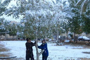 Iraqi boys shake snow off a tree in a park in the holy city of Karbala on February 11, 2020. AFP