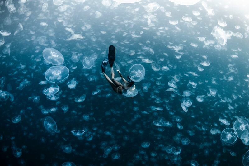 Third place in Collective Portfolio Award, Alex Kydd: A freediver falls through an ocean full of moon jellyfish in Raja Ampat, West Papua