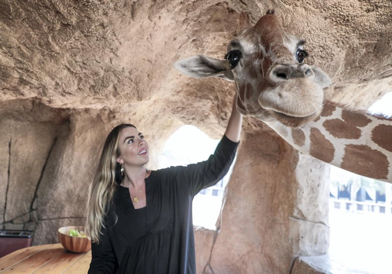 Abu Dhabi, United Arab Emirates, August 4, 2019.  Breakfast with giraffes at the Emirates Park Zoo.  Sophie Prideaux meets Amy the giraffe for breakfast.
 Victor Besa/The National
Section:  NA
Reporter:  Sophie Prideaux