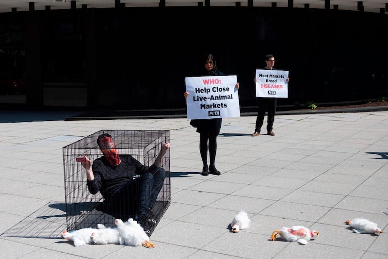 Members of PETA protest live markets outside the World Health Organization in Washington, DC.  AFP