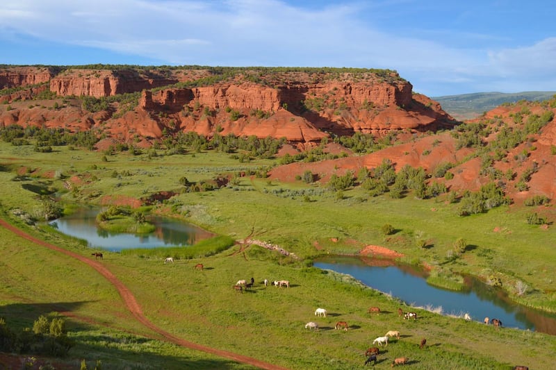 An aerial view of Red Reflet Ranch. Courtesy Red Reflet Ranch