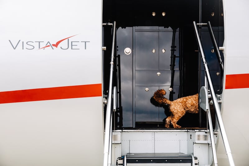 Flying with an animal can be complicated, due to varying regulations and restrictions around the world.
