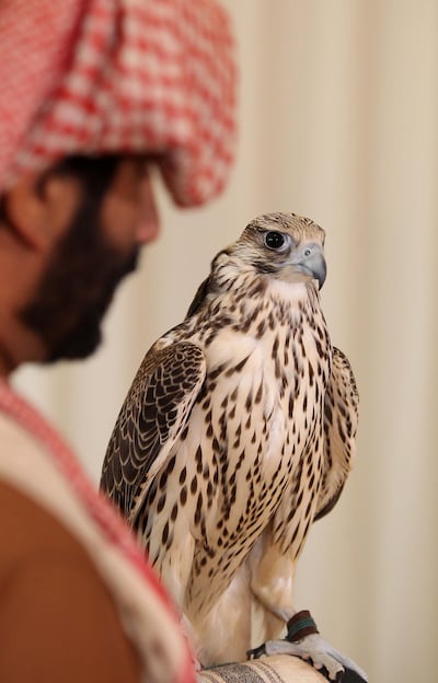 Visit Al Dhafra Festival for a variety of cultural activities, including a falconry event. Al Dhafra Festival